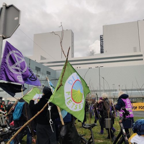 signal-2025-11-22-145525_002-crop